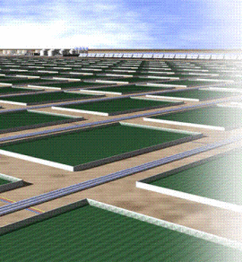 Algenol Mexico Factory to Produce Ethanol from Algae by 2009