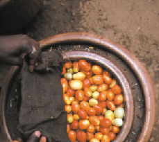Pot in Pot Refrigerator: Keeps Things Cool with no Electricity