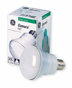 ESL Light Bulbs: Greener Than CFL, Cheaper Than LEDs