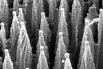 Harvard`s Black Silicon: 100 to 500 Times More Powerful Than Old Solar Cells