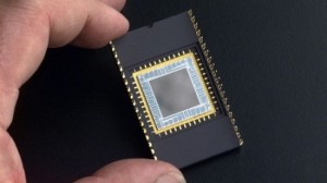 meg light sensors 1 gowgc 69 300x168 Newly Developed Light Sensor Could Improve Solar Cells and Cameras
