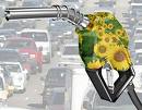 ages Biodiesel Developed Safely from Rhodococcus Bacteria