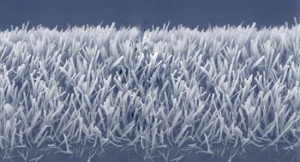 self assembling peptide nan BJHPV 69 300x162 Protein Nanotubes Could Make Solar Panels Self Washable