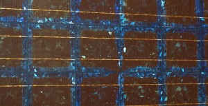 solar cells B8jzf 69 300x154 Sanyo Develops Flexible Solar Cell Thats Thinner Than Human Hair