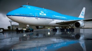 Camelina: The Plant That Powered KLM's First Biofuel Plane