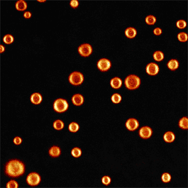 New Microbubble Production Making Biofuels and Wastewater Treatment More Efficient