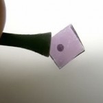 Self-Powered Solar Circuit Could Help Computing Become Greener and Faster