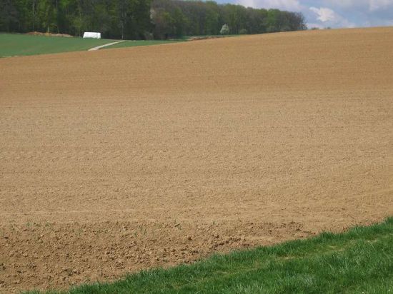 Students Harnessing Energy by Using Bacteria That Live in Soil