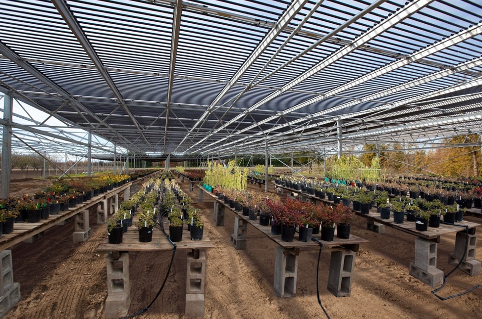 Solyndra Equips Greenhouses With Innovative Solar Powered Shades The