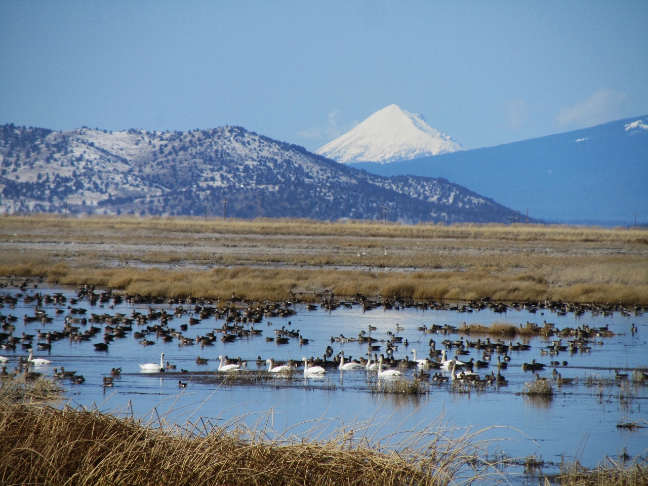 Pacific Northwest’s Klamath Basin a Possible Site for Geothermal Energy
