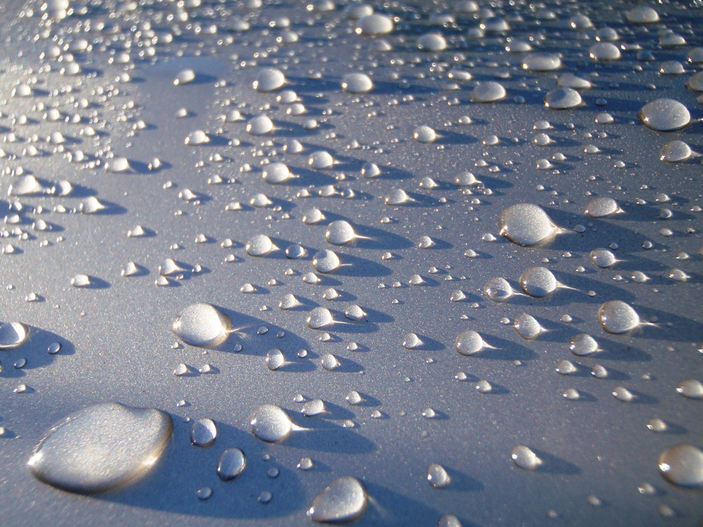 New Cotton Fabric Absorbs 340 of Its Weight in Water The Green
