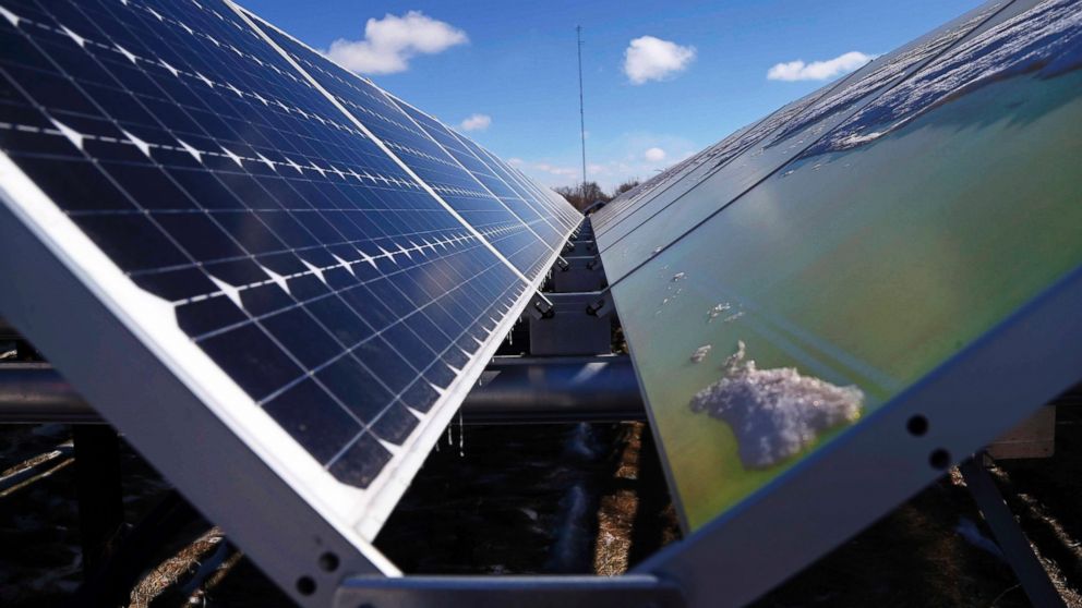 Community Solar Garden Concept Growing Strong Across US The Green Optimistic