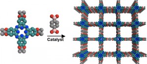 newmolecular