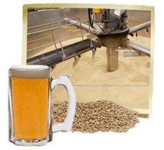 beer-malting-process