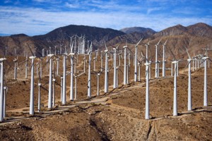 Wind Farm in Desert