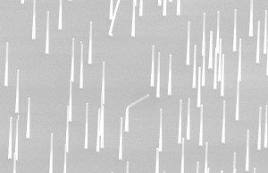 Nanowires Could Make for Efficient Solar Cells