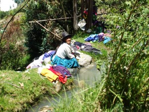 Apples and Oranges - Hand Washing and Washing Machines