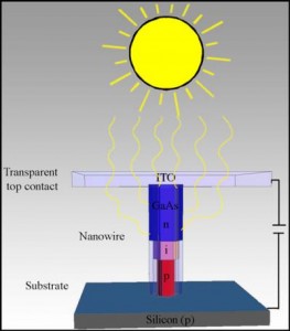 A Single Nanowire Exposed to Sunlight