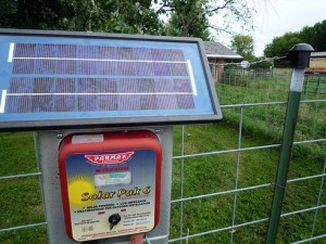 solarfencing.jpg.492x0_q85_crop-smart