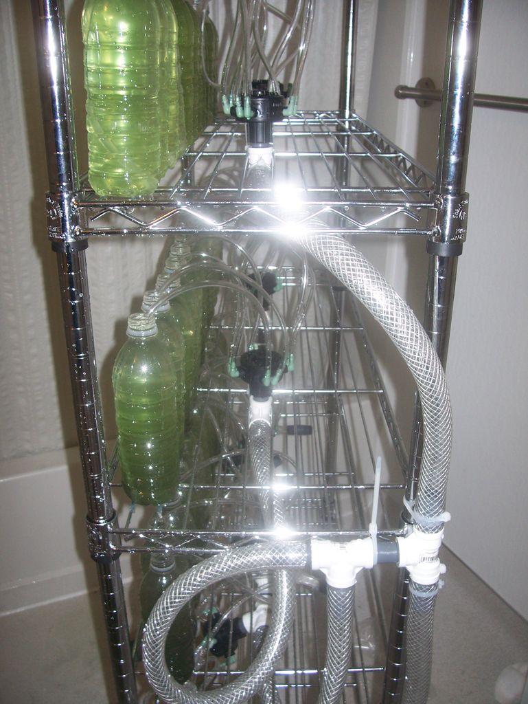 An Algae Bioreactor DIY Tutorial The Green Optimistic