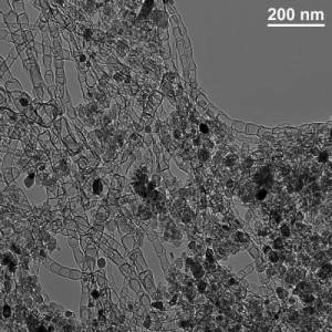 New Carbon Nanostructured Catalyst Could Increase Lithium-Ion Battery Capabilities