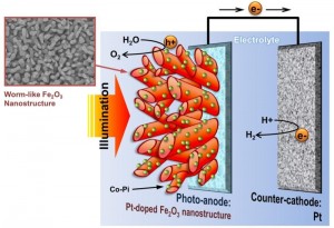 Schematic Diagram of PEC cell with wormlike hematite photoanode. (Credit: Copyright UNIST)