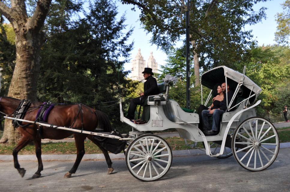 Are the Days Numbered for the Horse-Drawn Carriage in New York City's Central Park?