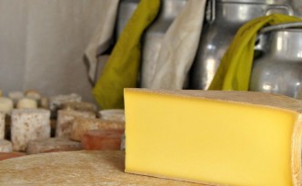 Cheese production byproducts are the newest power source in Albertville.